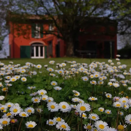 L'alberone Budrio (Bologna)