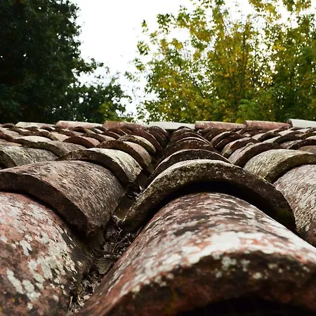 Alojamento de Acomodação e Pequeno-almoço L'alberone 3*