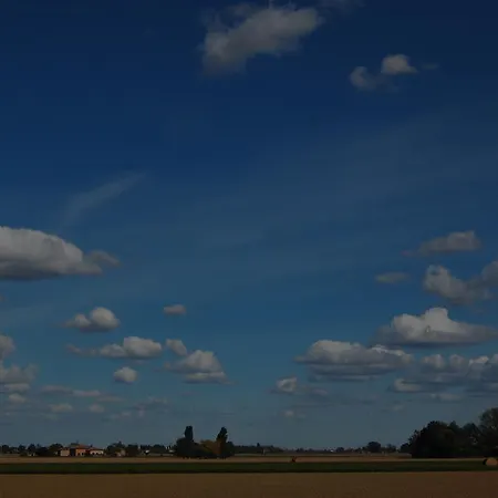 L'alberone Budrio (Bologna)
