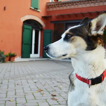 L'alberone Bed and Breakfast