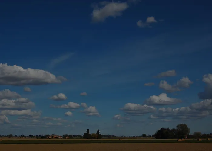 L'alberone Budrio (Bologna)