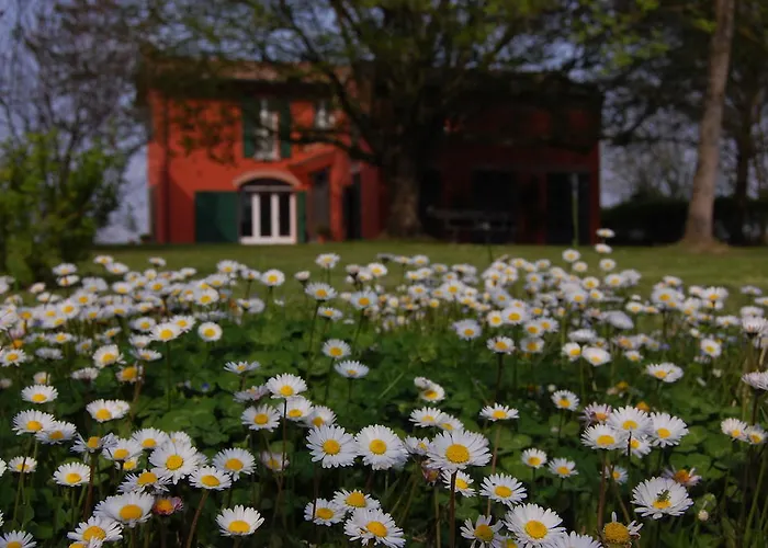 L'alberone Budrio (Bologna)