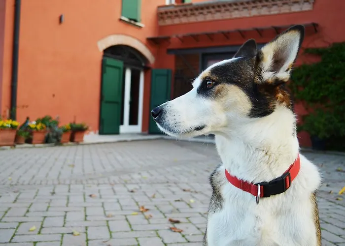 L'alberone Oda ve Kahvaltı