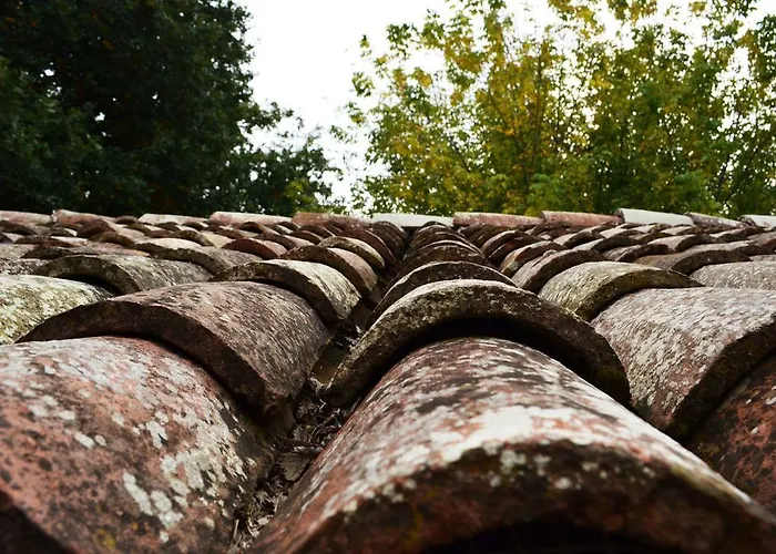 Oda ve Kahvaltı L'alberone 3*